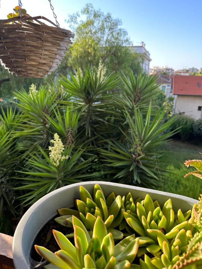 Location De Chambre Privee Dans Residence Prive, Jardins Et Parking Gratuit 1 Min To Tramway Et 9 Min De Centre-Ville, Accessibilite A Plusieurs Transports Nice Luaran gambar